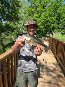 Smallmouth Bass