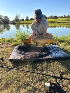 Mirror Carp