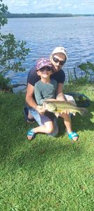 Largemouth Bass
