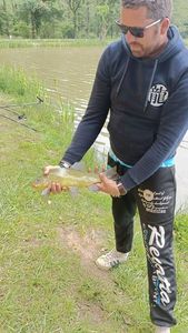 Tench