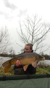 Mirror Carp