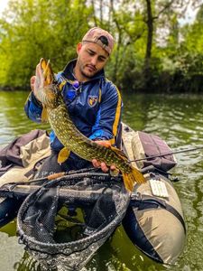 Northern Pike