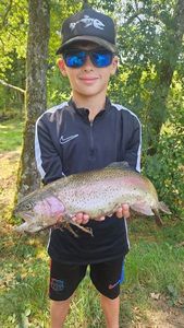 Rainbow Trout