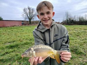 Mirror Carp