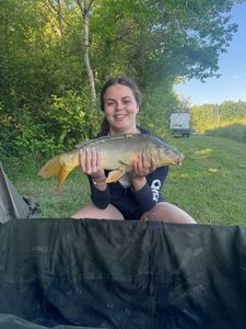 Mirror Carp