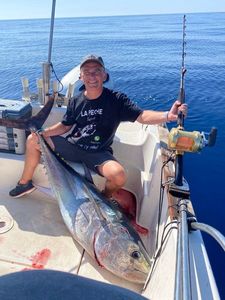 Southern Bluefin Tuna