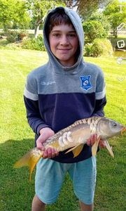 Mirror Carp