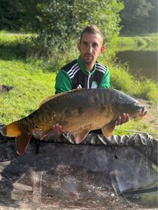 Mirror Carp