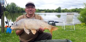 Common Carp