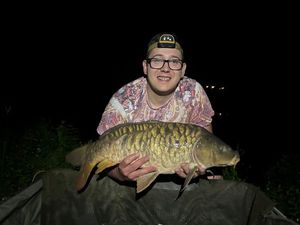 Mirror Carp