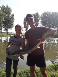 Sturgeon