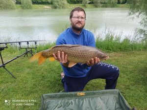 Common Carp