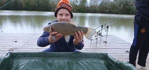 Tench
