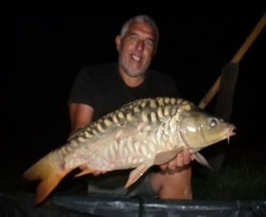 Mirror Carp
