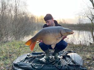 Mirror Carp