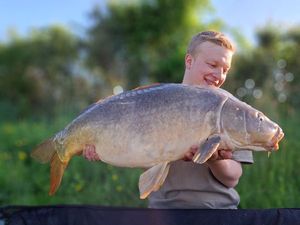 Mirror Carp