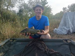 Tench