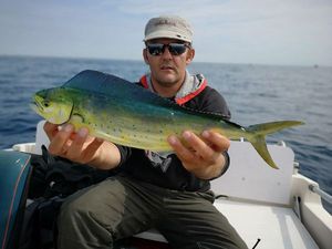 Dolphinfish