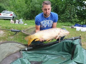 Mirror Carp