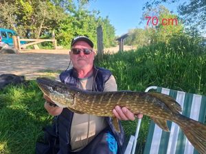 Northern Pike