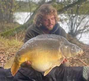 Mirror Carp