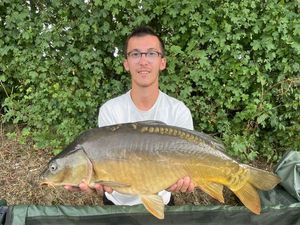 Mirror Carp