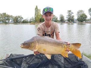Mirror Carp