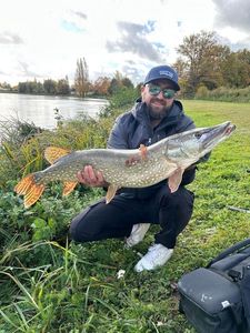 Northern Pike
