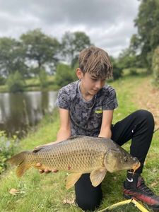 Common Carp