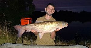 Grass Carp