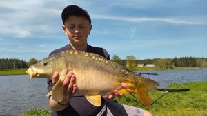 Mirror Carp