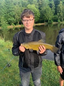 Tench
