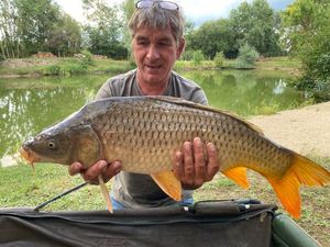 Common Carp