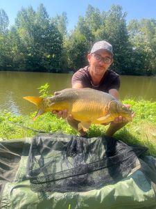 Mirror Carp