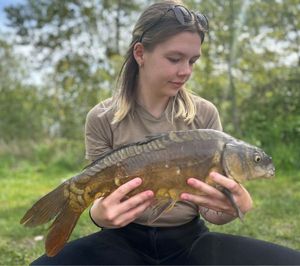 Mirror Carp