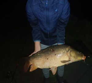 Leather Carp