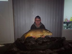 Mirror Carp