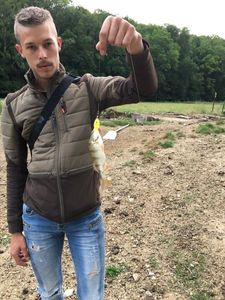 European Perch