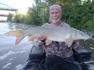 Barbel