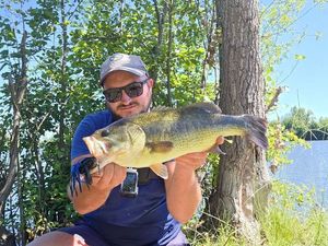 Largemouth Bass