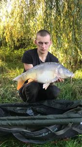 Mirror Carp