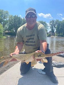 Longnose Gar