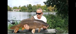 Common Carp