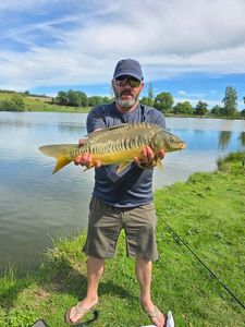 Mirror Carp