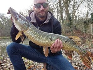 Northern Pike