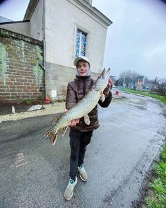 Northern Pike