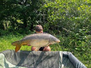 Mirror Carp