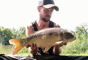Mirror Carp