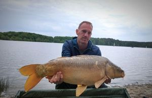 Mirror Carp