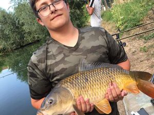 Common Carp